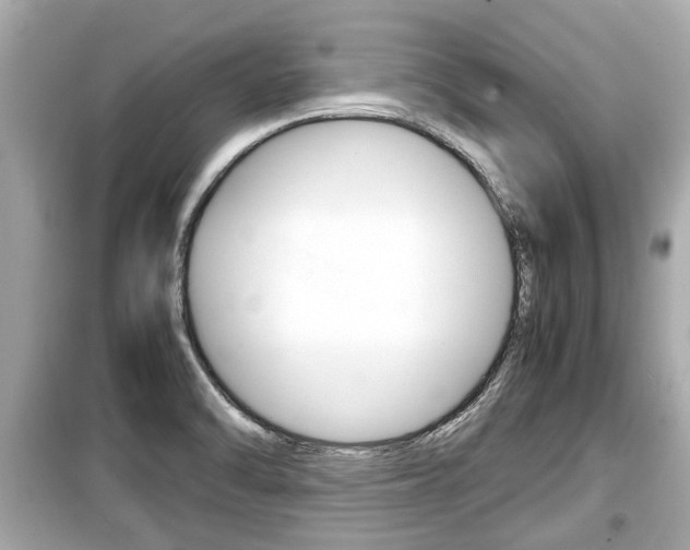 X0000099551470200805160715