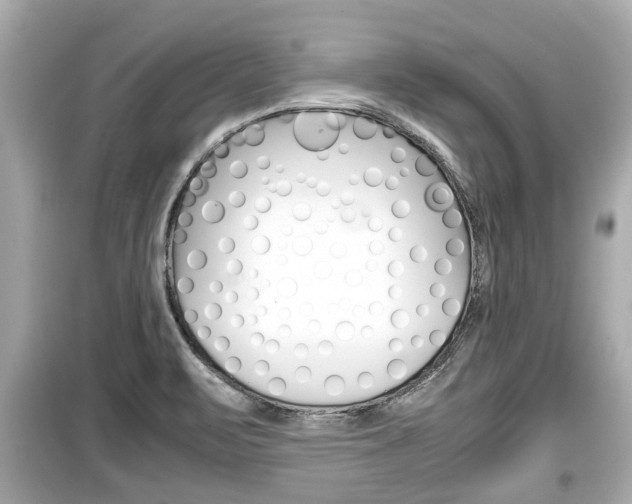 X0000099551471200805160715
