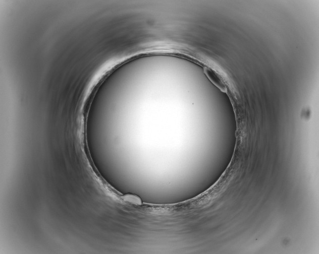 X0000099551472200805160715
