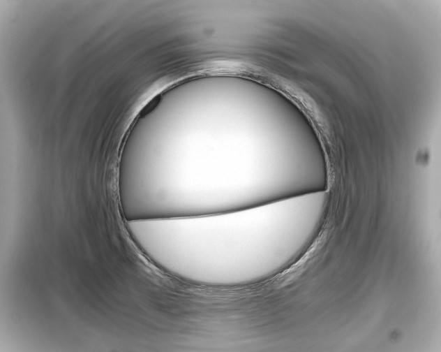 X0000099551473200805160715