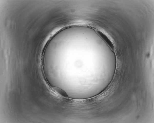 X0000099551477200805160715