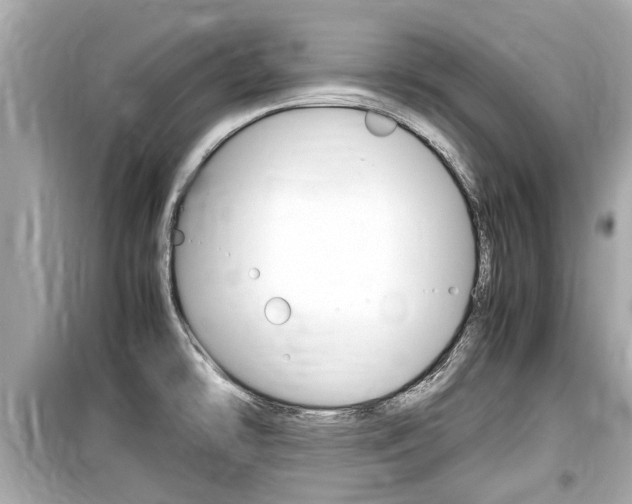 X0000099551478200805160715