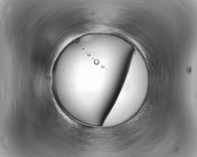 X0000099551479200805160714