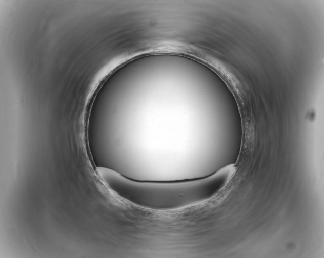 X0000099551480200805160714