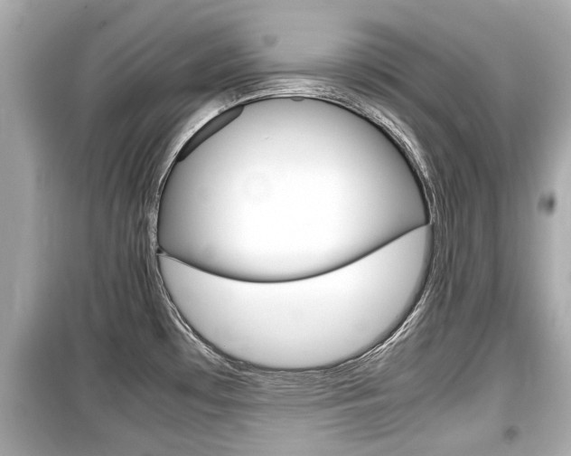 X0000099551481200805160714
