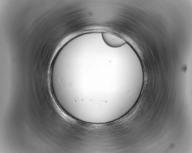X0000099551482200805160714
