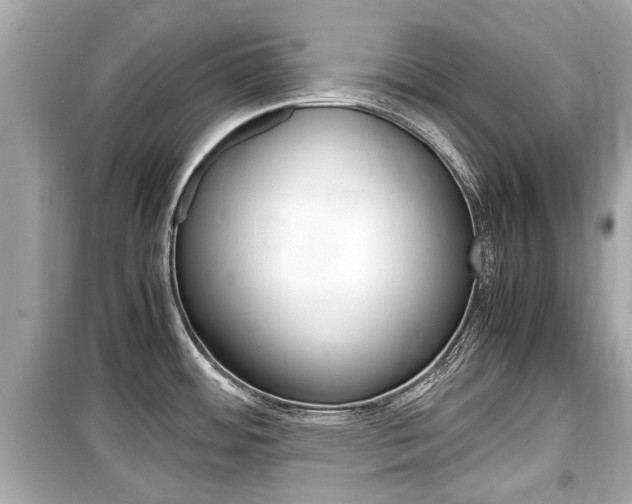 X0000099551484200805160714