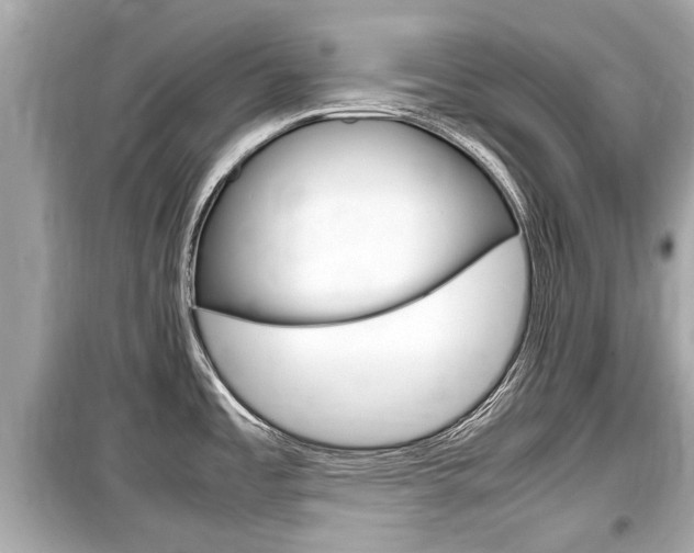 X0000099551485200805160714