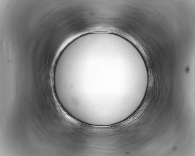 X0000099551486200805160714