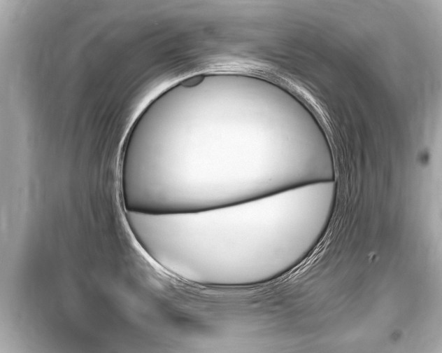 X0000099551487200805160714