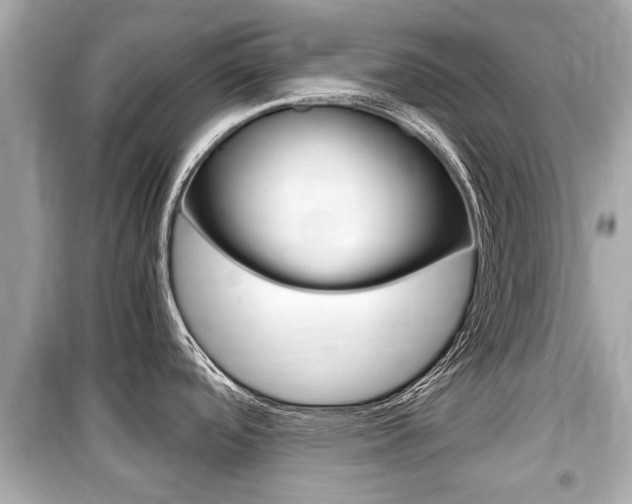 X0000099551488200805160714