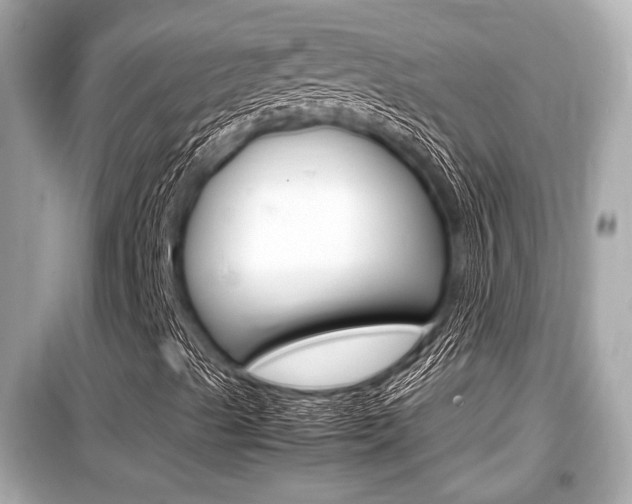 X0000099551489200805160714