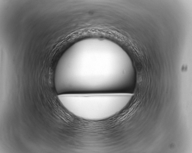 X0000099551490200805160714