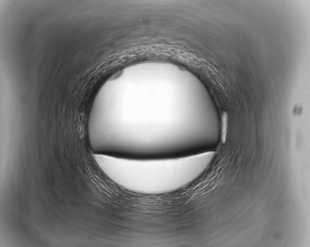 X0000099551491200805160714