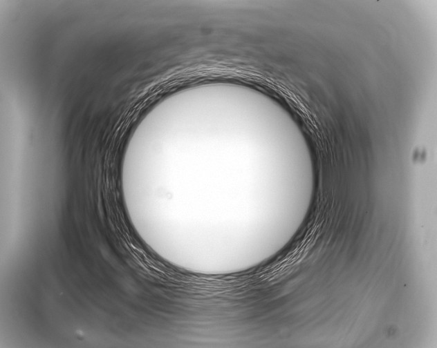 X0000099551492200805160714