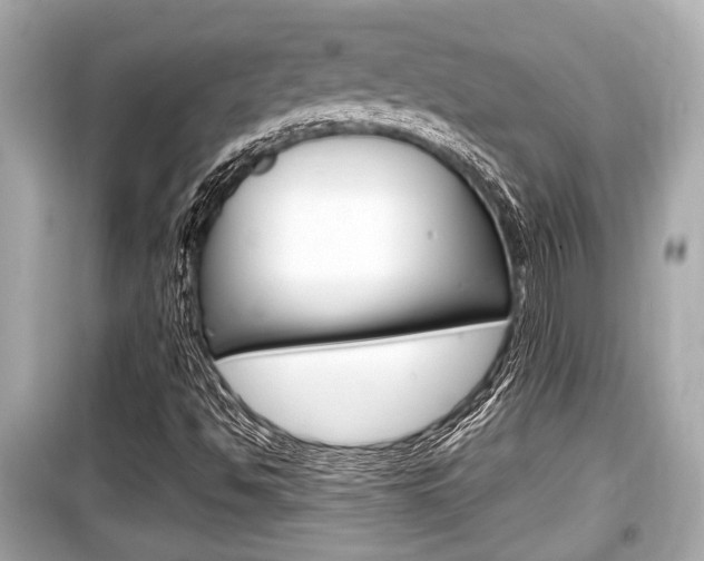 X0000099551494200805160714