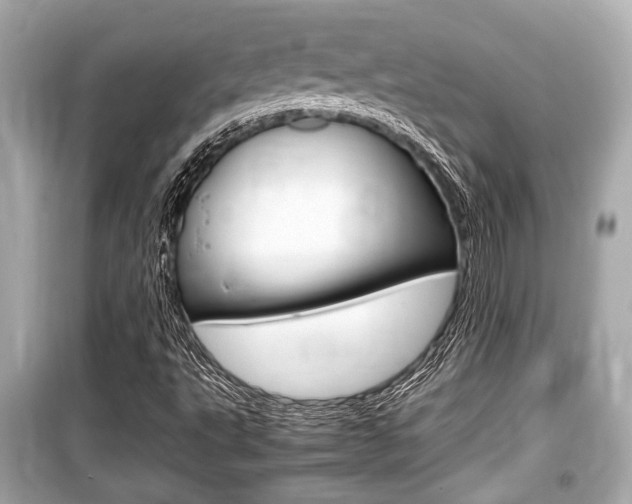 X0000099551495200805160714