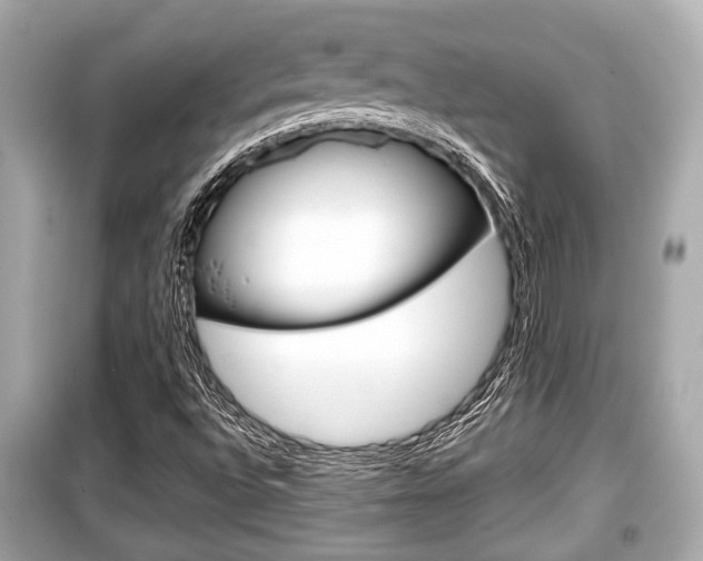 X0000099551496200805160714