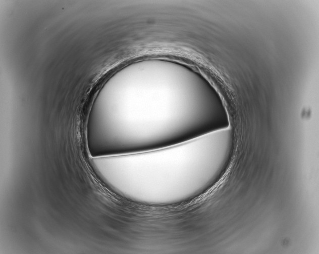 X0000099551497200805160714
