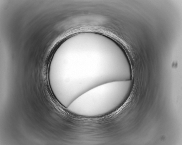X0000099551498200805160714