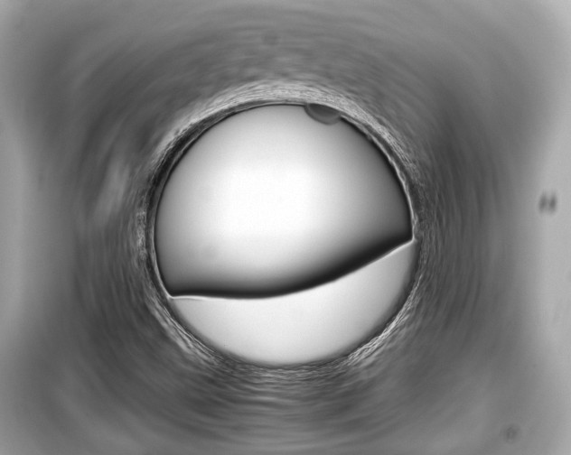 X0000099551499200805160714