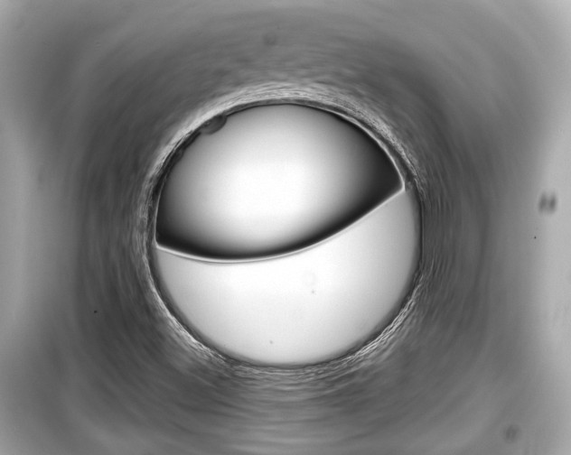 X0000099551500200805160714