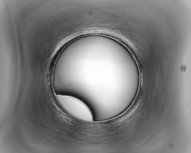 X0000099551501200805160714