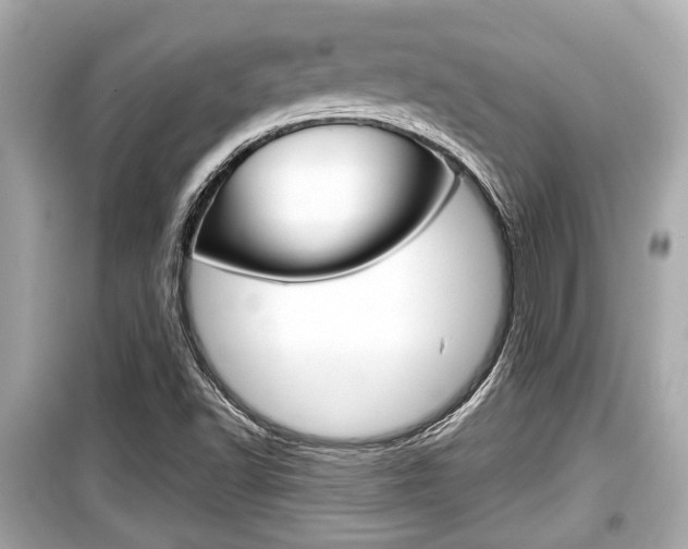 X0000099551502200805160714