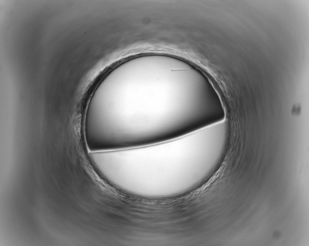 X0000099551503200805160714