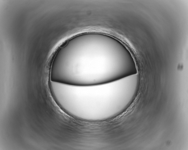 X0000099551504200805160714