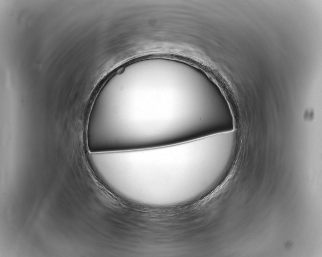 X0000099551505200805160714