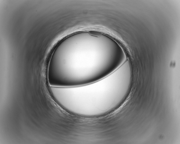 X0000099551506200805160714
