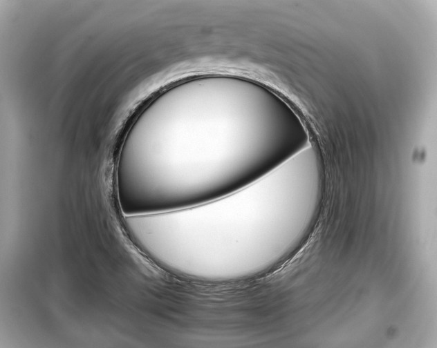 X0000099551507200805160714