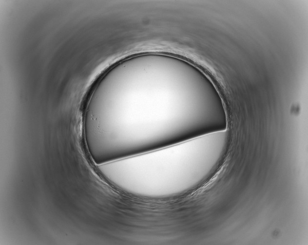 X0000099551509200805160714