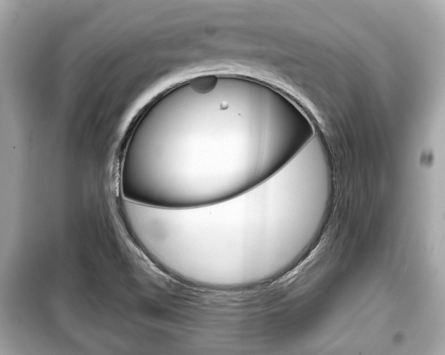 X0000099551510200805160714