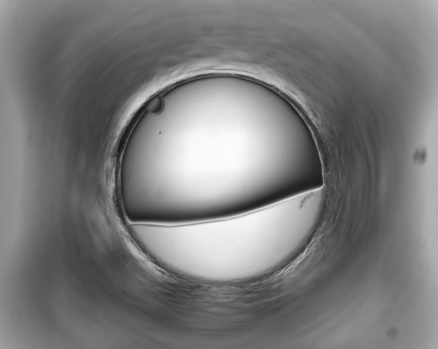 X0000099551511200805160714