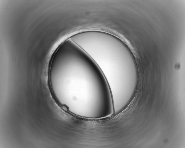 X0000099551512200805160714