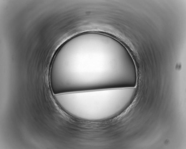 X0000099551513200805160714