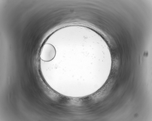X0000099551514200805160714