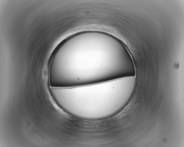 X0000099551515200805160714