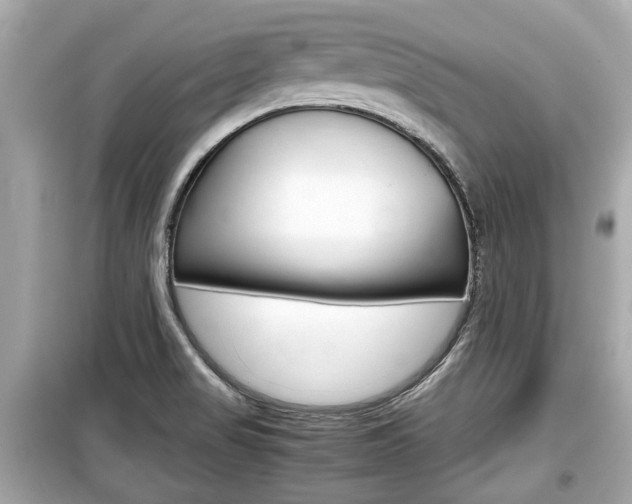 X0000099551517200805160714