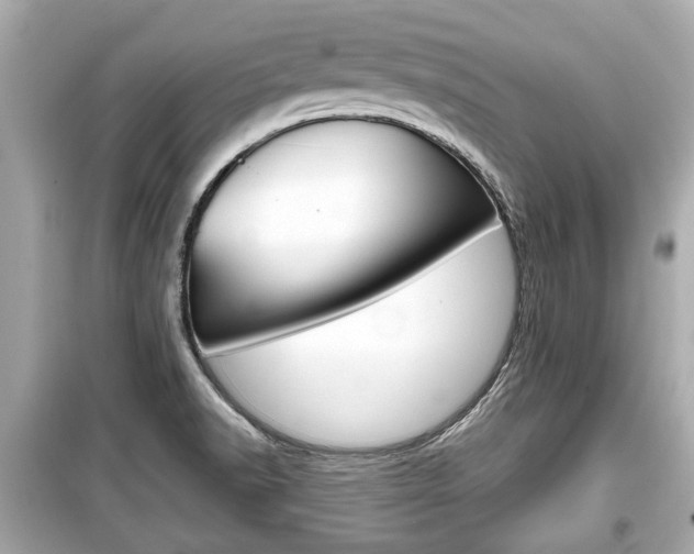 X0000099551518200805160714