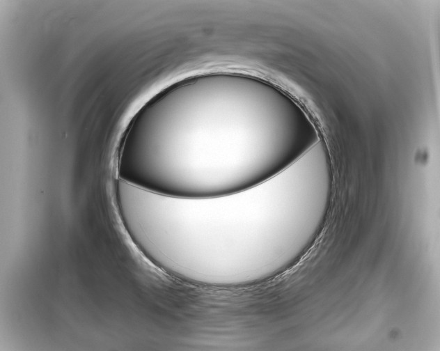 X0000099551520200805160714