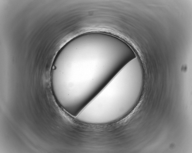 X0000099551521200805160714