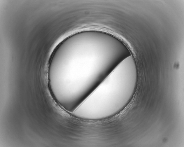 X0000099551522200805160714