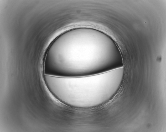 X0000099551523200805160714