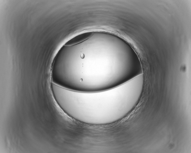 X0000099551524200805160714