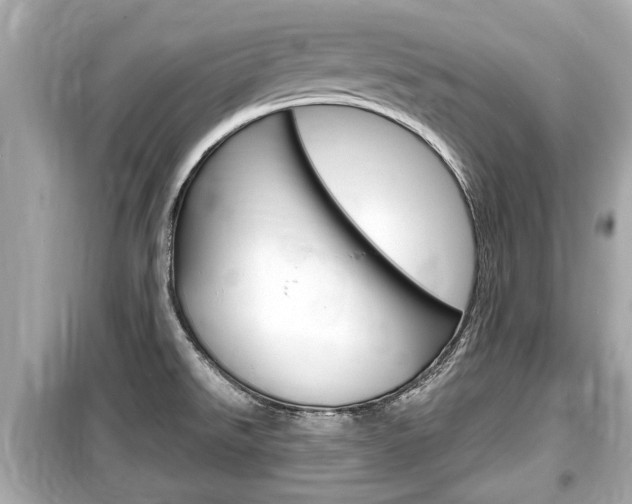 X0000099551526200805160714