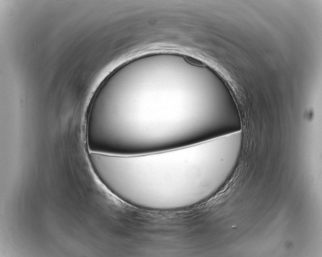 X0000099551527200805160714