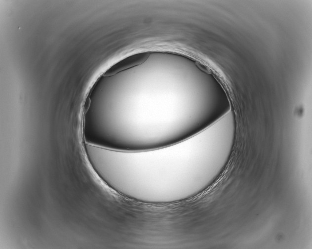 X0000099551528200805160714